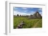 Traditional Trullos (Trulli) in the Countryside Near Alberobello, Puglia, Italy, Europe-Martin-Framed Photographic Print