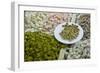 Traditional Turkish Delight for Sale, Spice Bazaar, Istanbul, Turkey, Western Asia-Martin Child-Framed Photographic Print