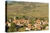 Traditional Village on Hill around Antsirabe, Madagascar, Africa-Bruno Morandi-Stretched Canvas