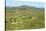 Traditional Village on Hill around Antsirabe, Madagascar, Africa-Bruno Morandi-Stretched Canvas