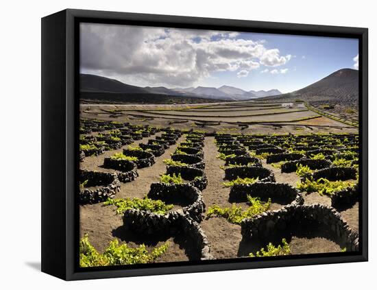 Traditional Vineyards in La Geria Where the Wines are Produced in a Volcanic Ash Soil, Lanzarote, C-Mauricio Abreu-Framed Stretched Canvas