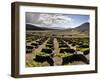 Traditional Vineyards in La Geria Where the Wines are Produced in a Volcanic Ash Soil, Lanzarote, C-Mauricio Abreu-Framed Photographic Print