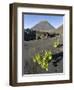 Traditional viniculture in the Cha de Caldeiras,. Stratovolcano mount Pico do Fogo. Fogo Island-Martin Zwick-Framed Premium Photographic Print