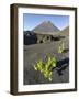 Traditional viniculture in the Cha de Caldeiras,. Stratovolcano mount Pico do Fogo. Fogo Island-Martin Zwick-Framed Photographic Print