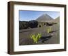 Traditional viniculture in the Cha de Caldeiras,. Stratovolcano mount Pico do Fogo. Fogo Island-Martin Zwick-Framed Photographic Print