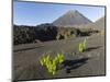 Traditional viniculture in the Cha de Caldeiras,. Stratovolcano mount Pico do Fogo. Fogo Island-Martin Zwick-Mounted Photographic Print