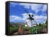 Traditional Windmill Near Antigua, Fuerteventura, Canary Islands, Spain, Europe-Nigel Francis-Framed Stretched Canvas