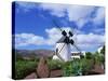 Traditional Windmill Near Antigua, Fuerteventura, Canary Islands, Spain, Europe-Nigel Francis-Stretched Canvas