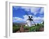 Traditional Windmill Near Antigua, Fuerteventura, Canary Islands, Spain, Europe-Nigel Francis-Framed Photographic Print