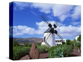 Traditional Windmill Near Antigua, Fuerteventura, Canary Islands, Spain, Europe-Nigel Francis-Stretched Canvas