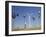 Traditional Windmills with a Wind Turbine on a Landscape, American Wind Power Center, Lubbock-null-Framed Photographic Print