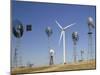 Traditional Windmills with a Wind Turbine on a Landscape, American Wind Power Center, Lubbock-null-Mounted Photographic Print