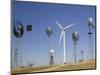 Traditional Windmills with a Wind Turbine on a Landscape, American Wind Power Center, Lubbock-null-Mounted Photographic Print