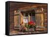 Traditional Window with Planter, Tyrol, Austria-Martin Zwick-Framed Stretched Canvas