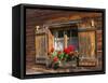 Traditional Window with Planter, Tyrol, Austria-Martin Zwick-Framed Stretched Canvas