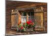 Traditional Window with Planter, Tyrol, Austria-Martin Zwick-Mounted Photographic Print