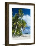 Traditional wood carved boat in the Aitutaki lagoon, Rarotonga and the Cook Islands, South Pacific,-Michael Runkel-Framed Photographic Print