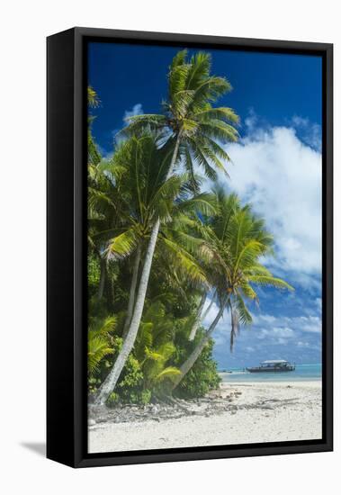 Traditional wood carved boat in the Aitutaki lagoon, Rarotonga and the Cook Islands, South Pacific,-Michael Runkel-Framed Stretched Canvas