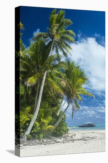 Traditional wood carved boat in the Aitutaki lagoon, Rarotonga and the Cook Islands, South Pacific,-Michael Runkel-Stretched Canvas