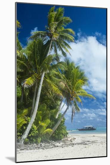 Traditional wood carved boat in the Aitutaki lagoon, Rarotonga and the Cook Islands, South Pacific,-Michael Runkel-Mounted Photographic Print