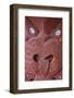 Traditional Wood Carved Mask in the Te Puia Maori Cultural Center-Michael-Framed Photographic Print