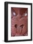 Traditional Wood Carved Mask in the Te Puia Maori Cultural Center-Michael-Framed Photographic Print