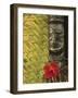 Traditional Wood Carving, Rarotonga, Cook Islands-Neil Farrin-Framed Photographic Print