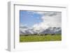 Traditional yurt the Transalai mountains in the background. Alaj valley in the Pamir Mountains.-Martin Zwick-Framed Photographic Print