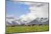 Traditional yurt the Transalai mountains in the background. Alaj valley in the Pamir Mountains.-Martin Zwick-Mounted Photographic Print