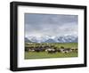 Traditional yurt the Transalai mountains in the background. Alaj valley in the Pamir Mountains.-Martin Zwick-Framed Photographic Print