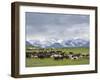 Traditional yurt the Transalai mountains in the background. Alaj valley in the Pamir Mountains.-Martin Zwick-Framed Photographic Print