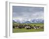 Traditional yurt the Transalai mountains in the background. Alaj valley in the Pamir Mountains.-Martin Zwick-Framed Photographic Print