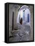 Traditionally Dressed Woman along Cobblestone Alley, Morocco-Merrill Images-Framed Stretched Canvas