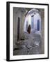 Traditionally Dressed Woman along Cobblestone Alley, Morocco-Merrill Images-Framed Premium Photographic Print