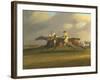 'Trafalgar' and 'Meteorite'-Samuel Henry Alken-Framed Giclee Print