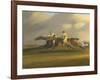 'Trafalgar' and 'Meteorite'-Samuel Henry Alken-Framed Giclee Print