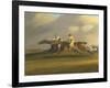 'Trafalgar' and 'Meteorite'-Samuel Henry Alken-Framed Giclee Print