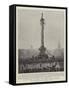 Trafalgar Day in London, the Nelson Column Decorated-null-Framed Stretched Canvas