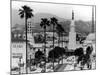 Traffic Along a Boulevard in the La Suburb of Westwood-Loomis Dean-Mounted Photographic Print