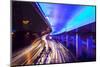 Traffic Beneath Neon-Lit Elevated Road-Paul Souders-Mounted Photographic Print