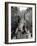 Traffic in the Baixa Area, Lisbon, Portugal-Yadid Levy-Framed Photographic Print