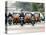 Traffic Including Tuk-Tuk or Bajaj, Jakarta, Java, Indonesia, Southeast Asia-Porteous Rod-Stretched Canvas