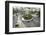 Traffic Intersection Nguyen Hue Boulevard and Le Loi Boulevard, Ho Chi Minh City (Saigon), Vietnam-Yadid Levy-Framed Photographic Print