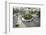 Traffic Intersection Nguyen Hue Boulevard and Le Loi Boulevard, Ho Chi Minh City (Saigon), Vietnam-Yadid Levy-Framed Photographic Print