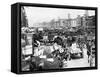 Traffic Jam on Lower Broadway Ca 1895-null-Framed Stretched Canvas