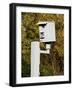 Traffic Light Jumping Detection Camera-null-Framed Photographic Print