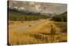 Traffic on Trans Canada Highway 1, Canadian Rockies, Banff National Park, UNESCO World Heritage Sit-Frank Fell-Stretched Canvas