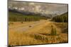 Traffic on Trans Canada Highway 1, Canadian Rockies, Banff National Park, UNESCO World Heritage Sit-Frank Fell-Mounted Photographic Print