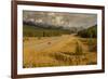 Traffic on Trans Canada Highway 1, Canadian Rockies, Banff National Park, UNESCO World Heritage Sit-Frank Fell-Framed Photographic Print