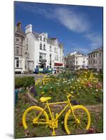 Traffic Roundabout with Painted Bicycles, Seaton, Devon Heritage Coast, Devon, England, UK, Europe-Neale Clarke-Mounted Photographic Print